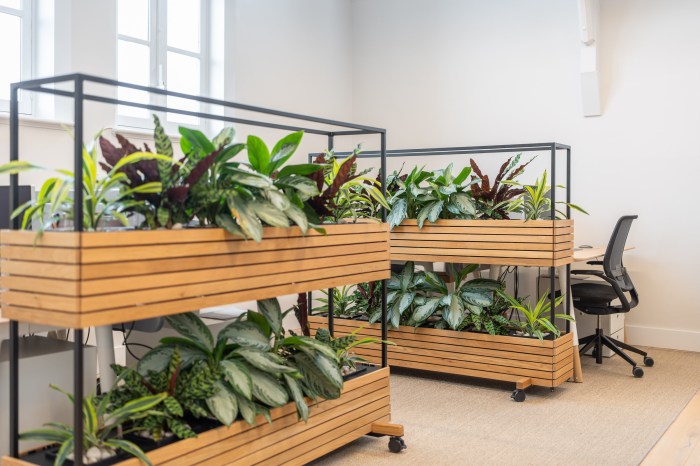 Sustainable Office Fit Out Guide | Constructive Space